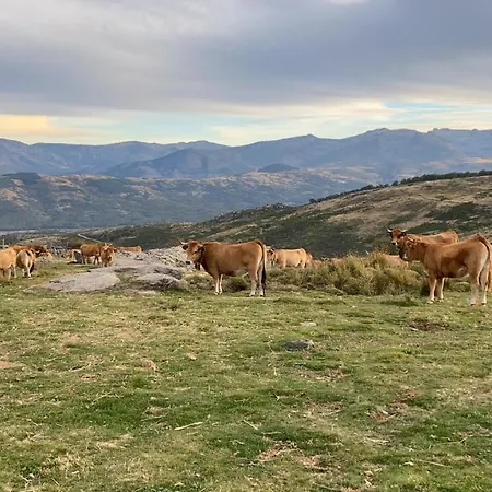 Casa de Férias El Pajar De Tío Mariano Tremedal