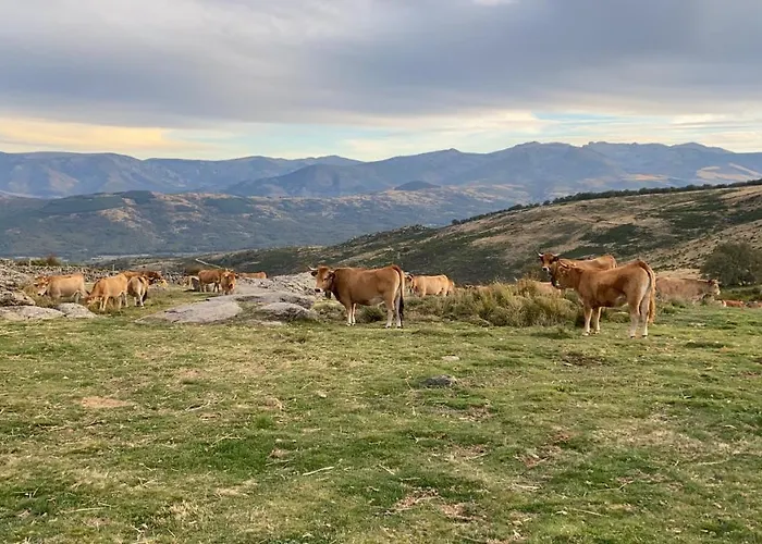 Tatil Evi El Pajar De Tio Mariano Tremedal